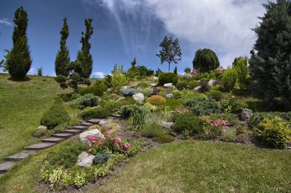 Steep Terrain Landscaping in Danville