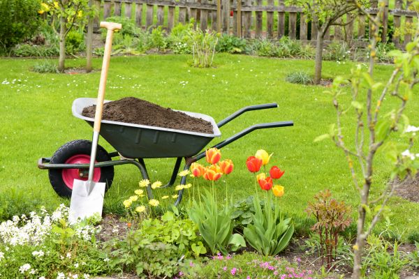 Spring Yard Renovation in Danville