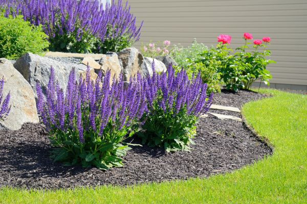 Landscape Planting Service in Danville
