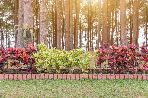 Small Garden Landscaping in Danville