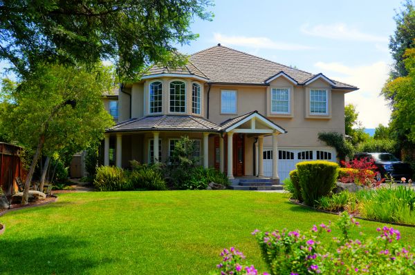 Large Yard Landscaping in Danville