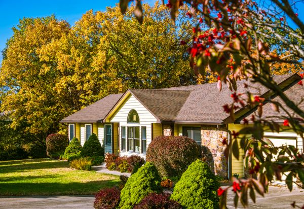 Ranch Landscaping in Danville