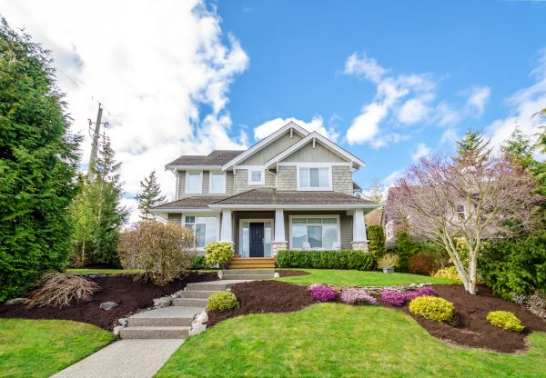 Landscaping Replacement in Danville