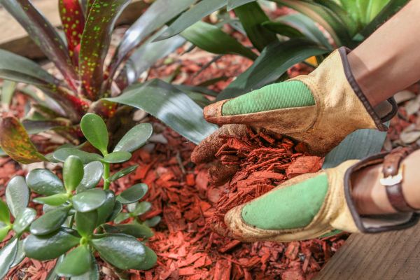 Residential Mulching in Danville