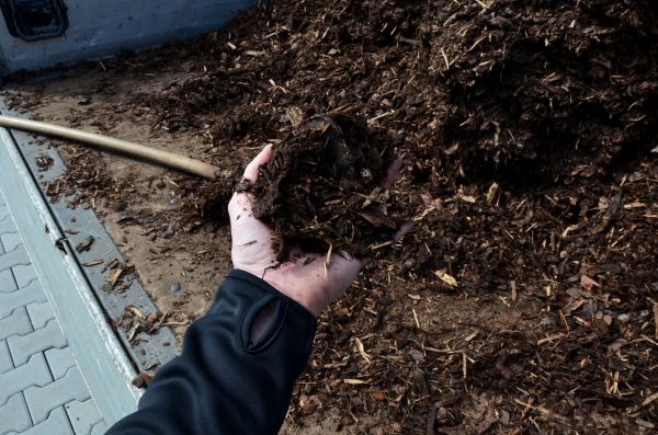 Condo Mulching in Danville