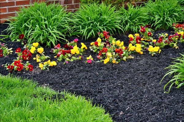 Apartment Mulching in Danville